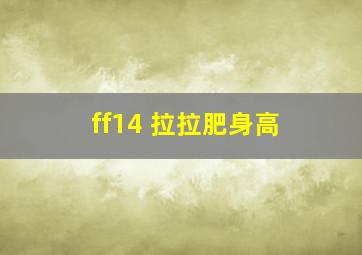 ff14 拉拉肥身高